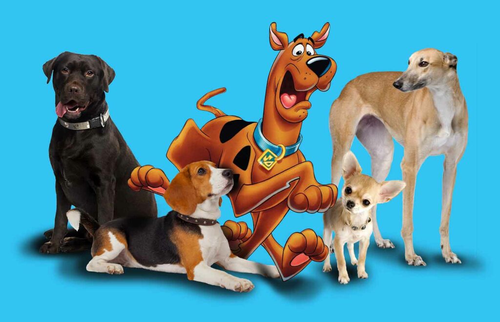 Cartoon Scooby-Doo surrounded by a labrador retriever, a beagle, a chihuahua, and a greyhound