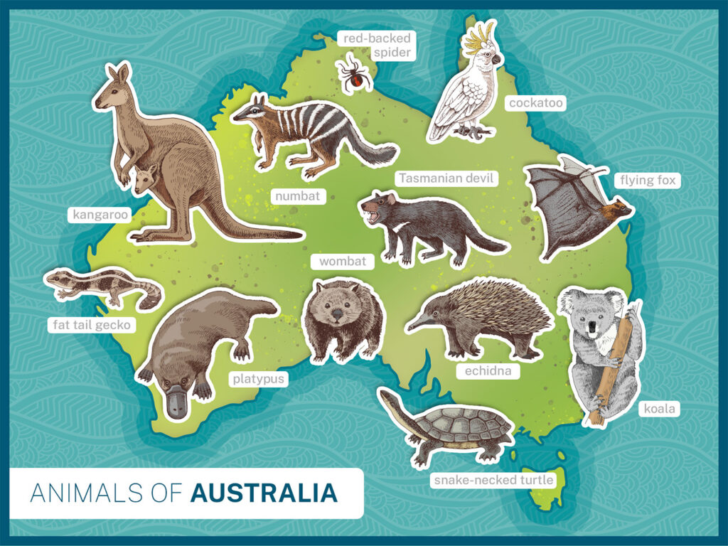 Map of Australia with labeled illustrations of species that are found only in Australia.