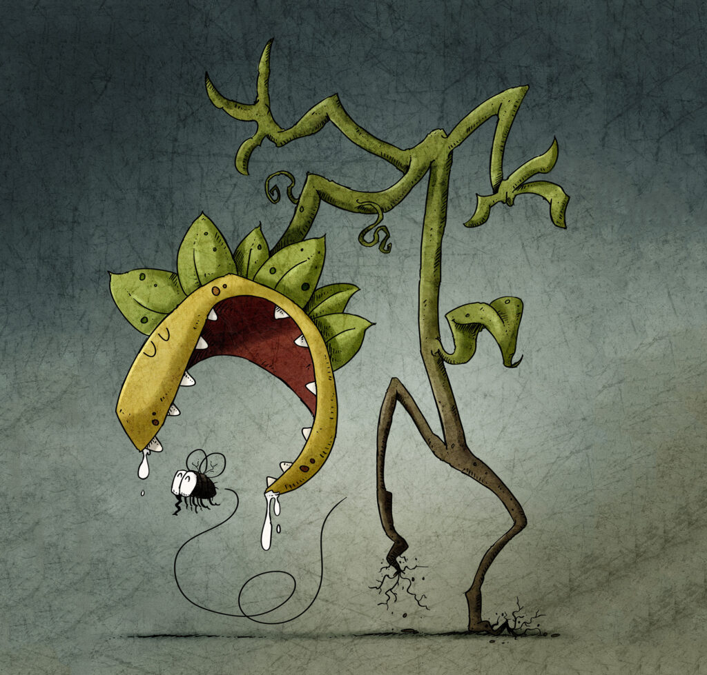 An illustration of an animal-like Venus flytrap walking behind a fly that it is about to eat