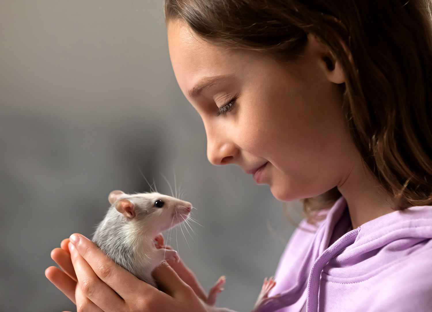 A girl holds a rat in two hands and looks at it lovingly.
