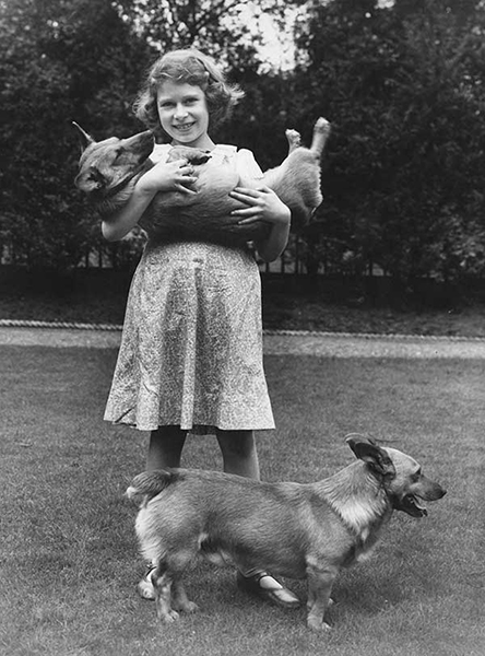A black and white photo shows young Elizabeth smiling and holding a corgi with another corgi at her feet.