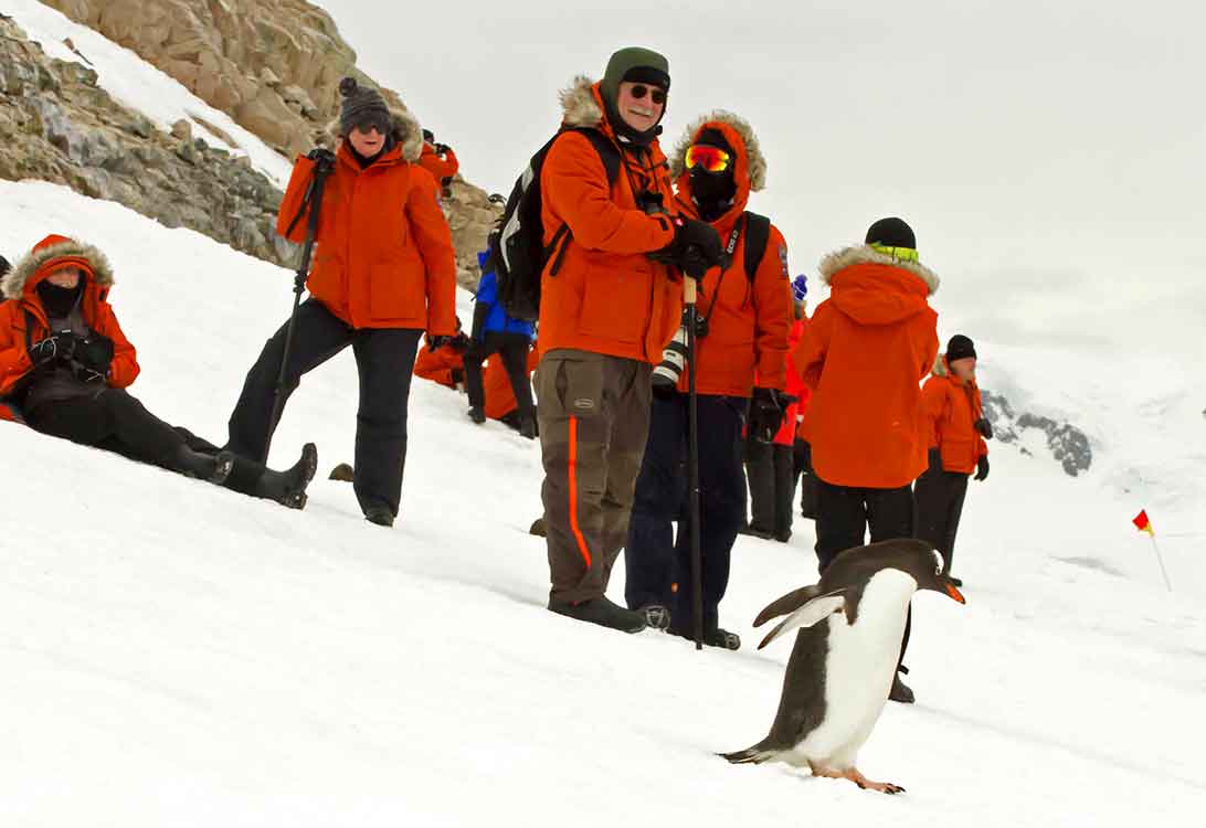 It’s very cold, but the gentoo penguins make people smile.