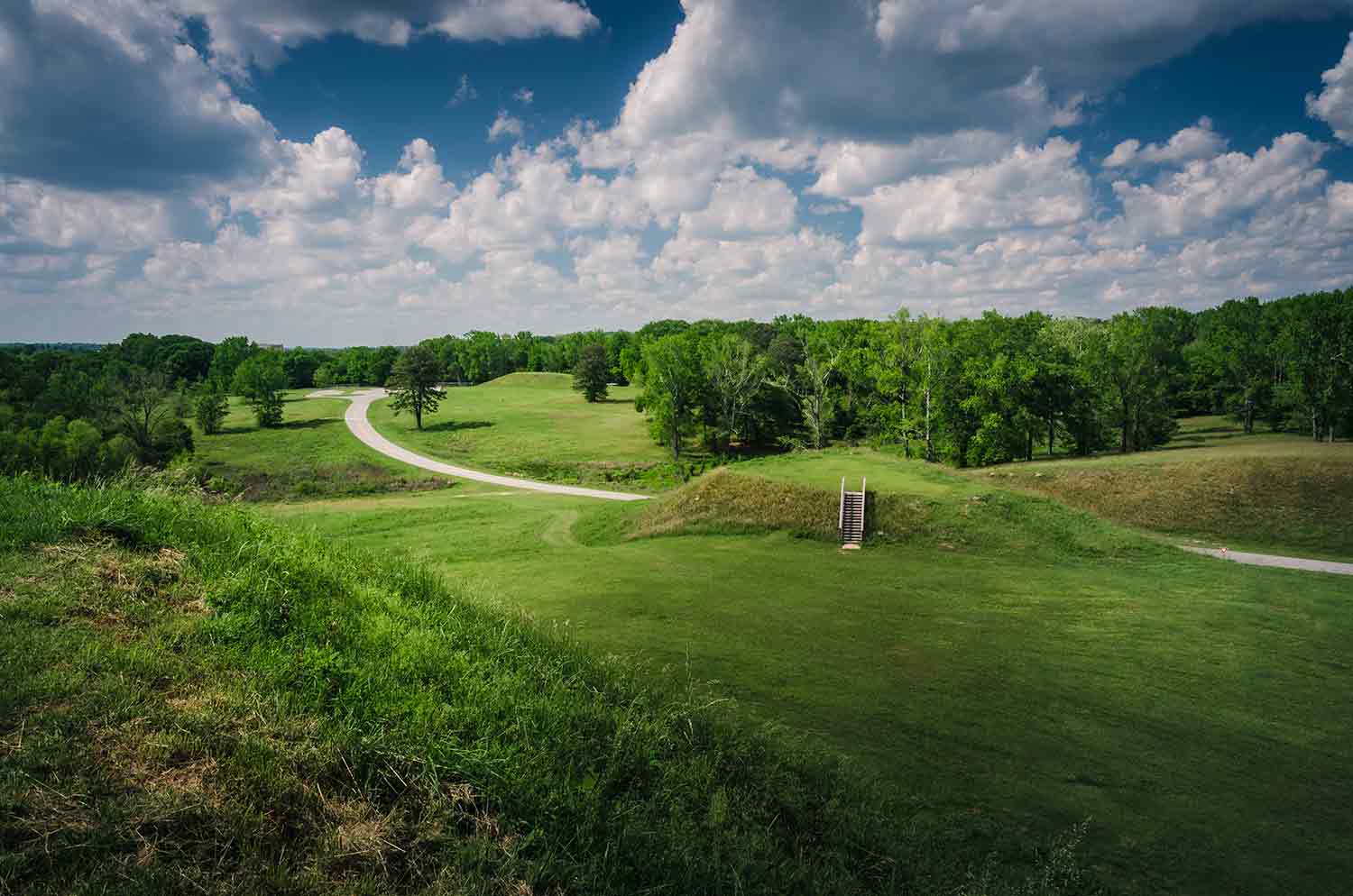 A landscape has a grassy mound in the foreground and distance with trees in the background.