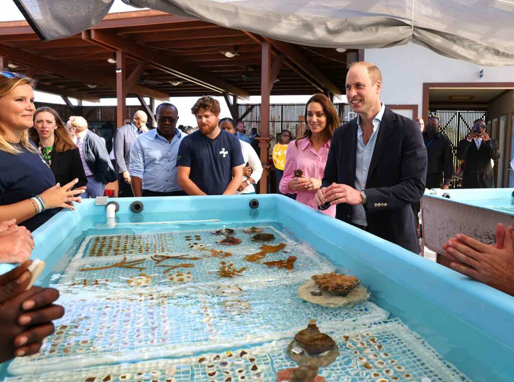 Prince William and Catherine, Duchess of Cambridge, talk to a group of people as they stand around a tub in which coral is growing.