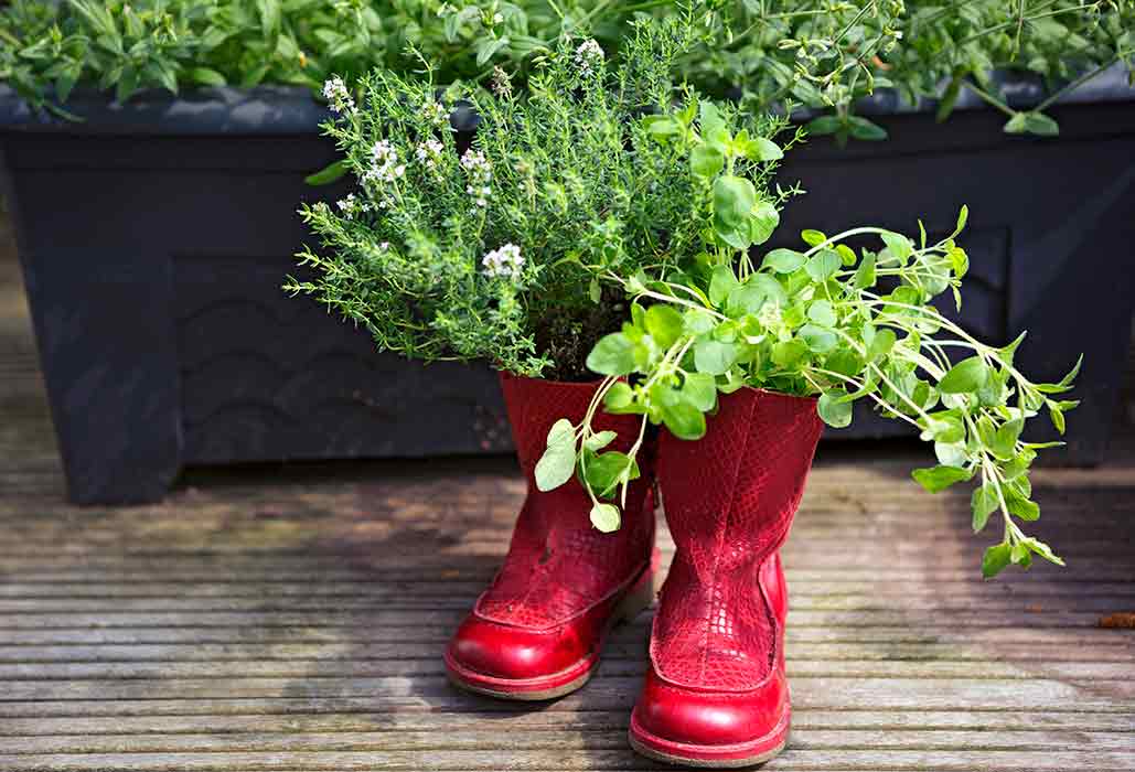 Old boots upcycled into planters