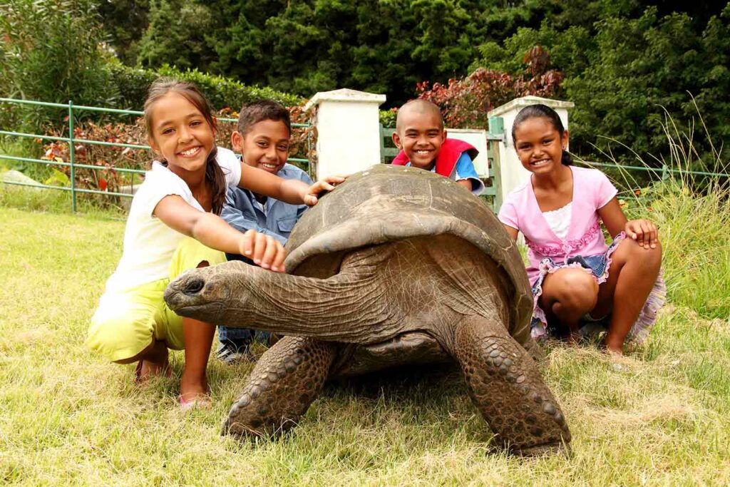 Four children pose with Jonathan the tortoise on a bed of grass.