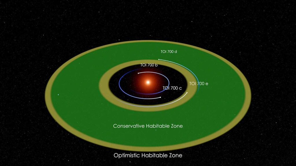 Illustration showing the locations of the TOI 700 planets relative to their star and whether they are in the habitable zone