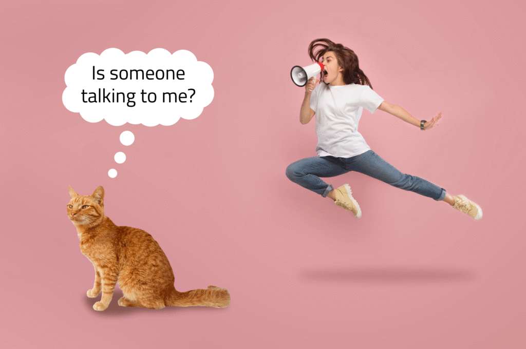 Animation of a person shouting into a megaphone behind a cat who is asking in talk bubble if someone is talking to them