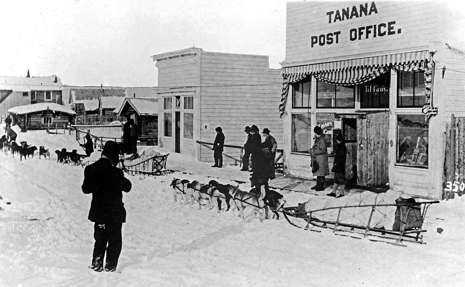Black and white photo of two dog sleds and many dogs standing on a snowy street in front of the Tanana Post office.