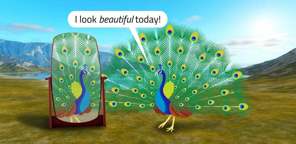 A peacock standing in front of a mirror and saying I look beautiful today.