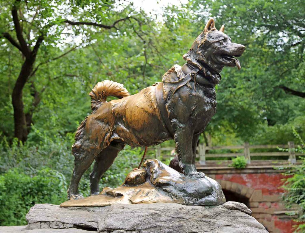 A metal statue of a husky-type dog on a rock in a park setting