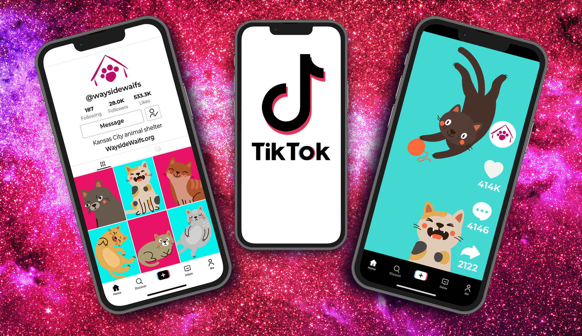Two phones side by side, left one showing a mockup of an animal shelter TikTok page and right one scrolling pictures of cats.