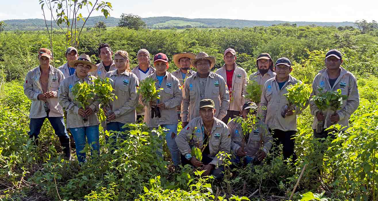 A group of people poses outside holding saplings with greenery all around them.