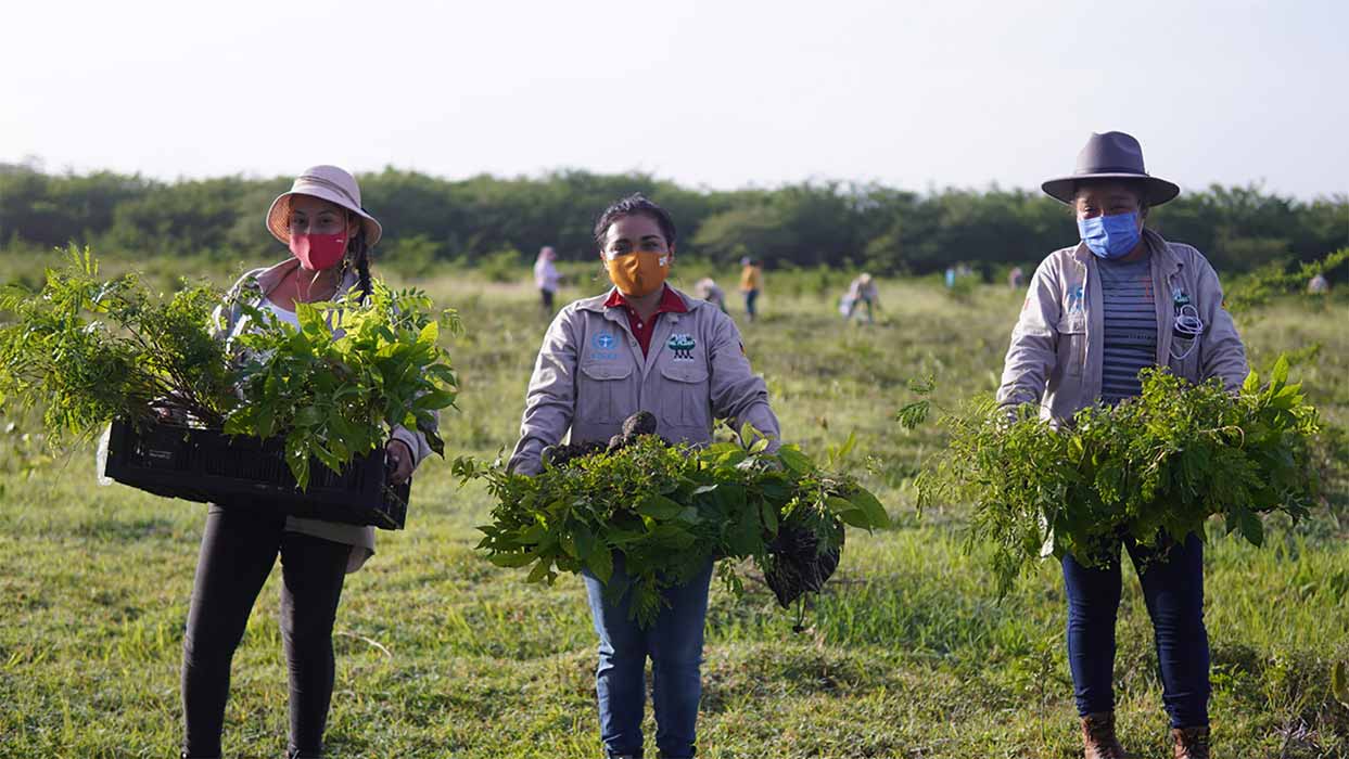 These Plant-for-the-Planet reforesters were hard at work in Mexico in 2021.