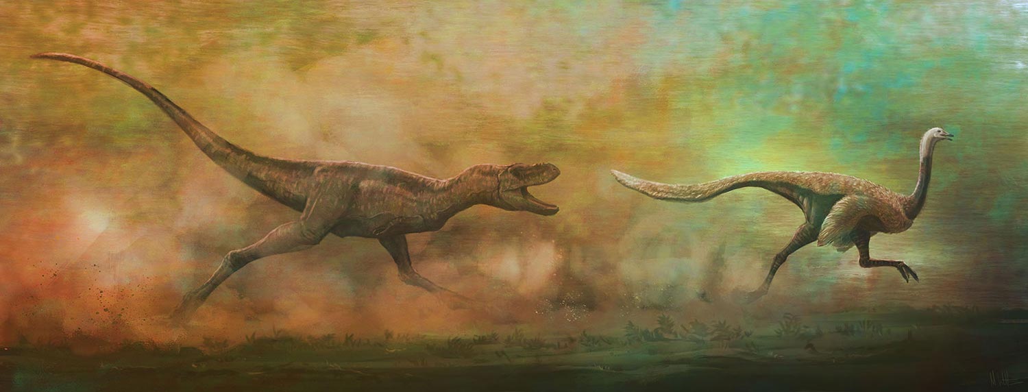 A T. rex chases an ostrich dinosaur.