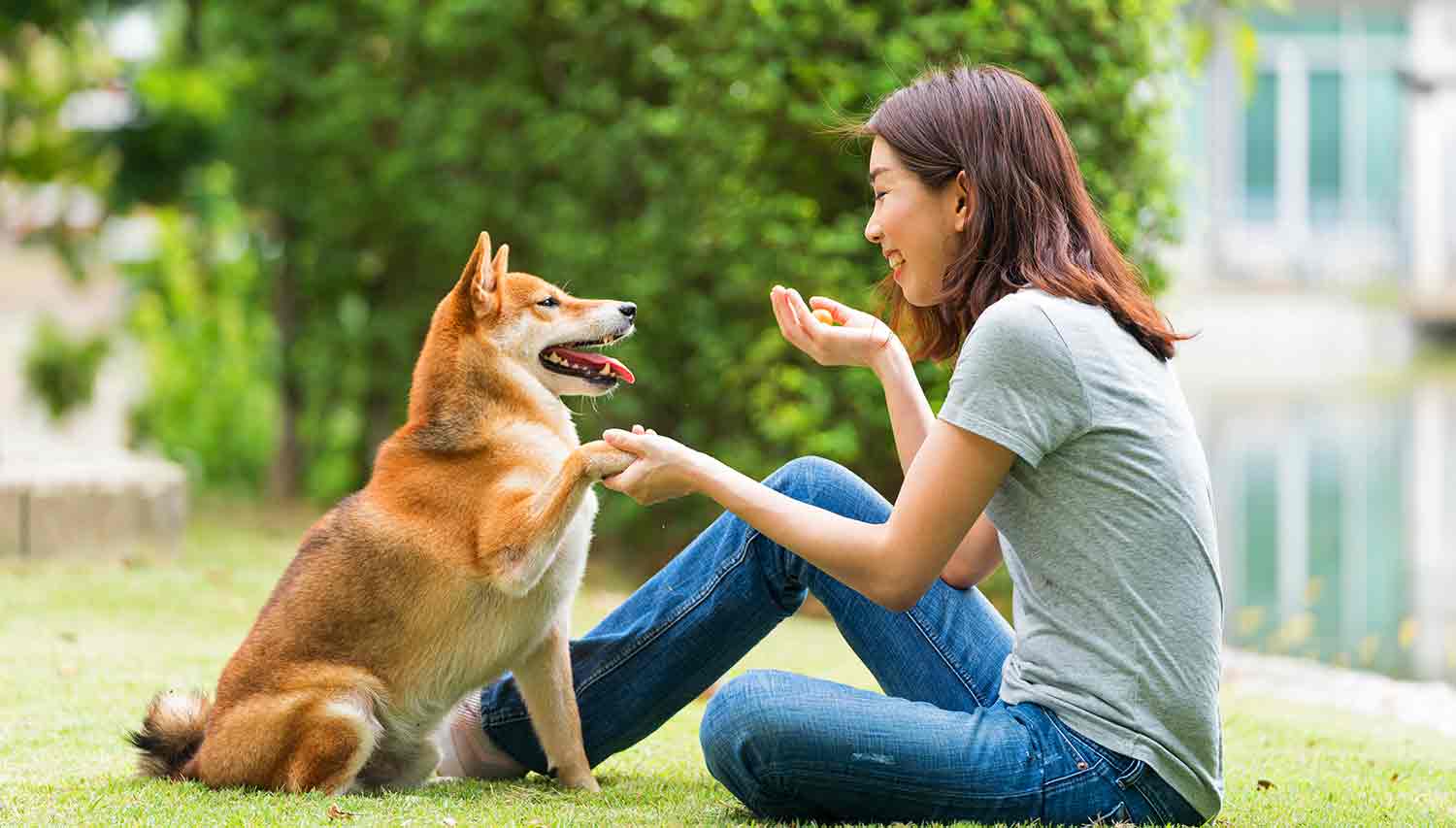 A woman sits on grass smiling and holding a dog’s paw.