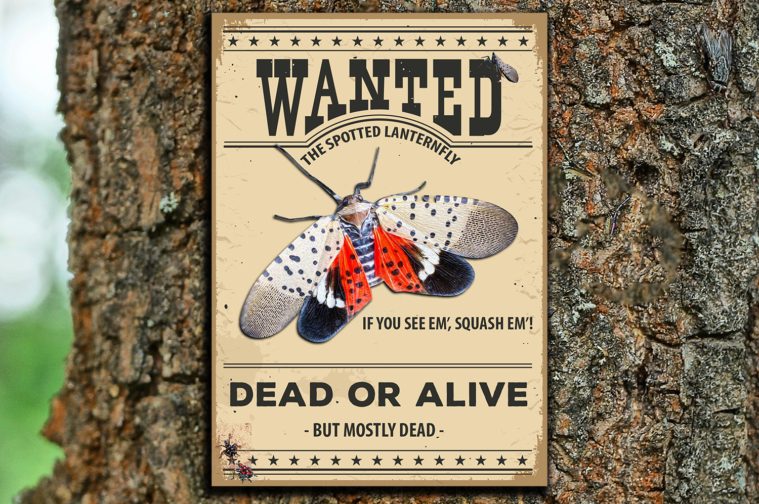 A wanted poster for the spotted lanternfly that says if you see them, squash them.