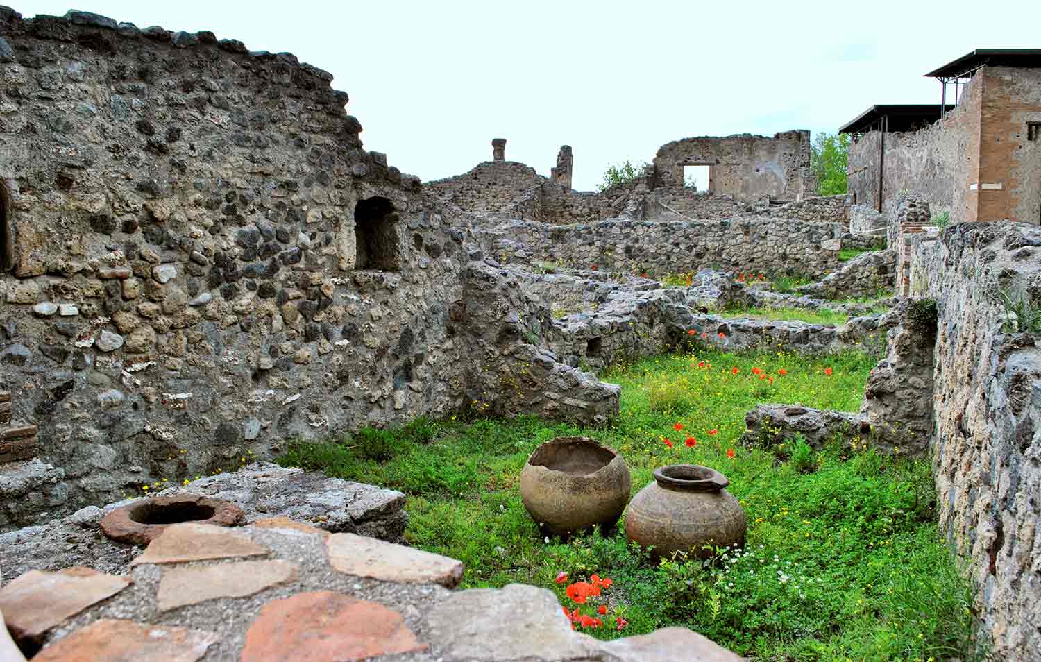 Grass and flowers grow among ruins of buildings and pottery.