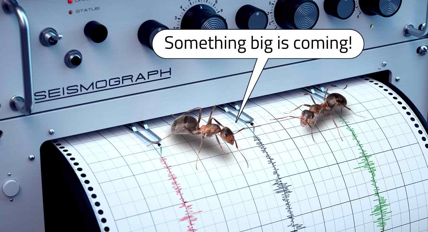 Two ants sit on a seismograph readout. One of the ants says something big is coming.