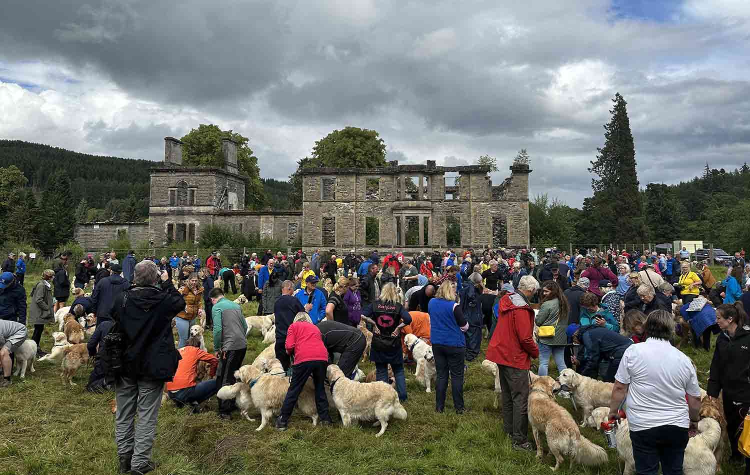 A large number of people and golden retrievers stand on a grassy field in front of the ruins of a building.