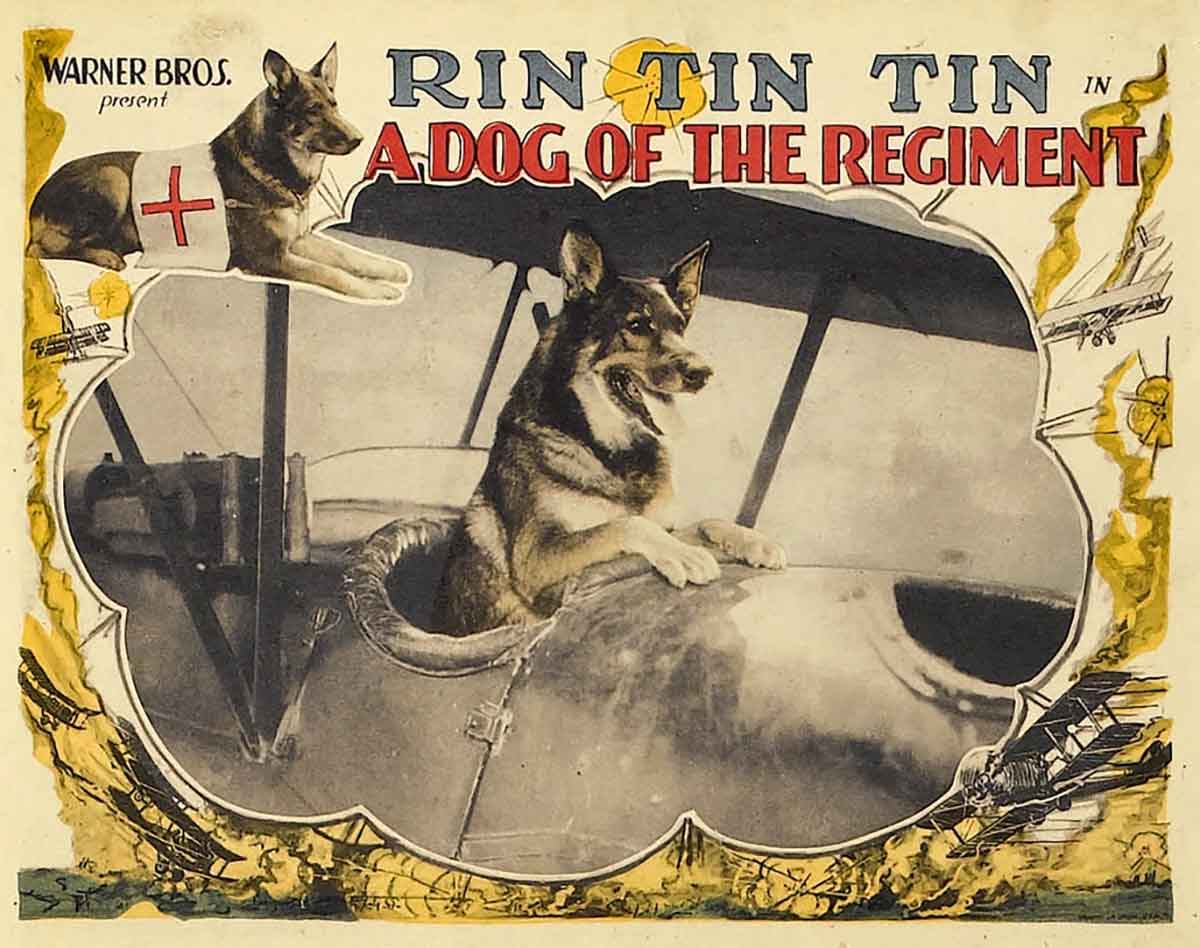 A German shepherd rides in a biplane below the title Rin Tin Tin a Dog of the Regiment