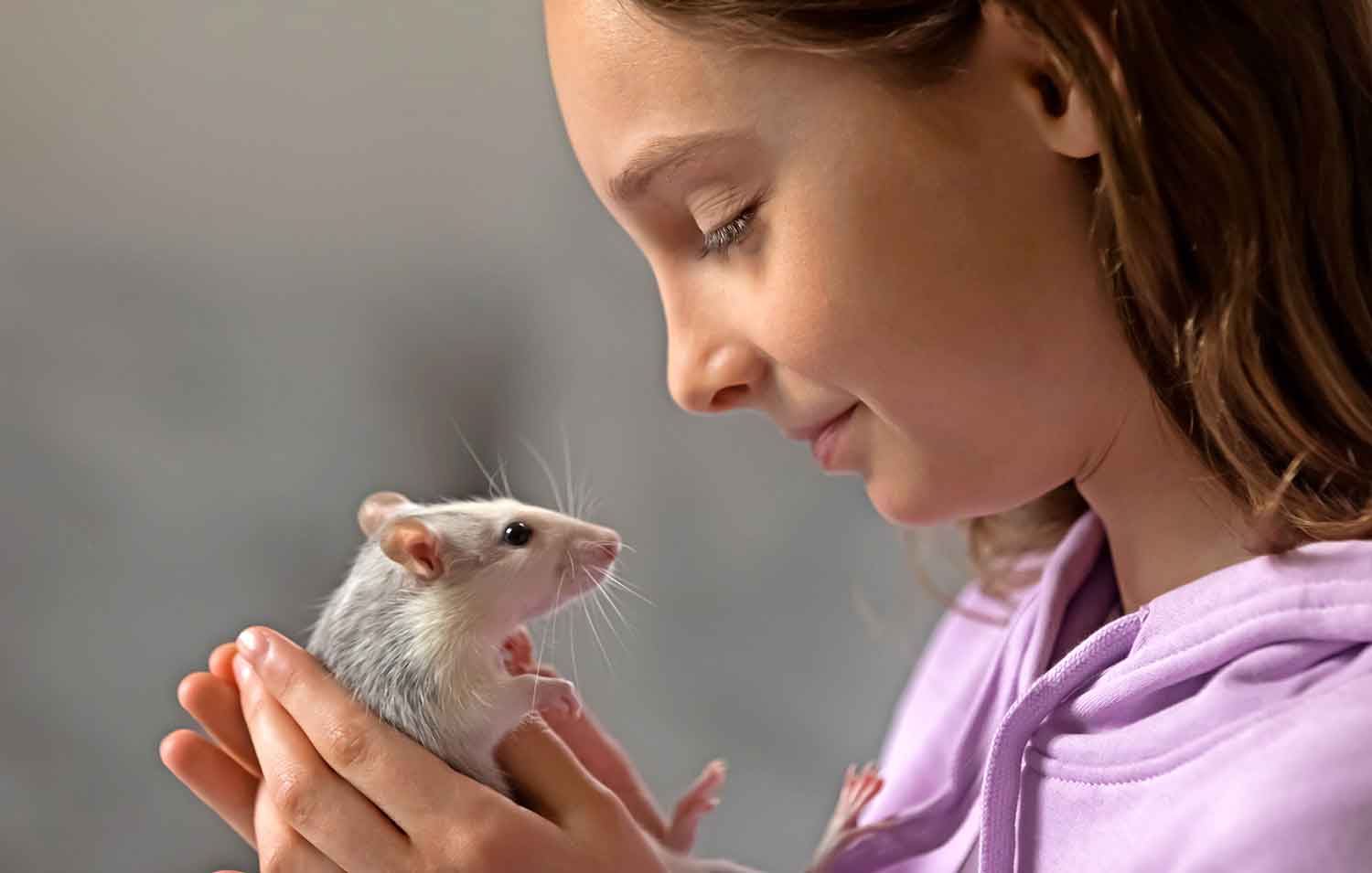 A teen holds a gray and white rat in her hands.