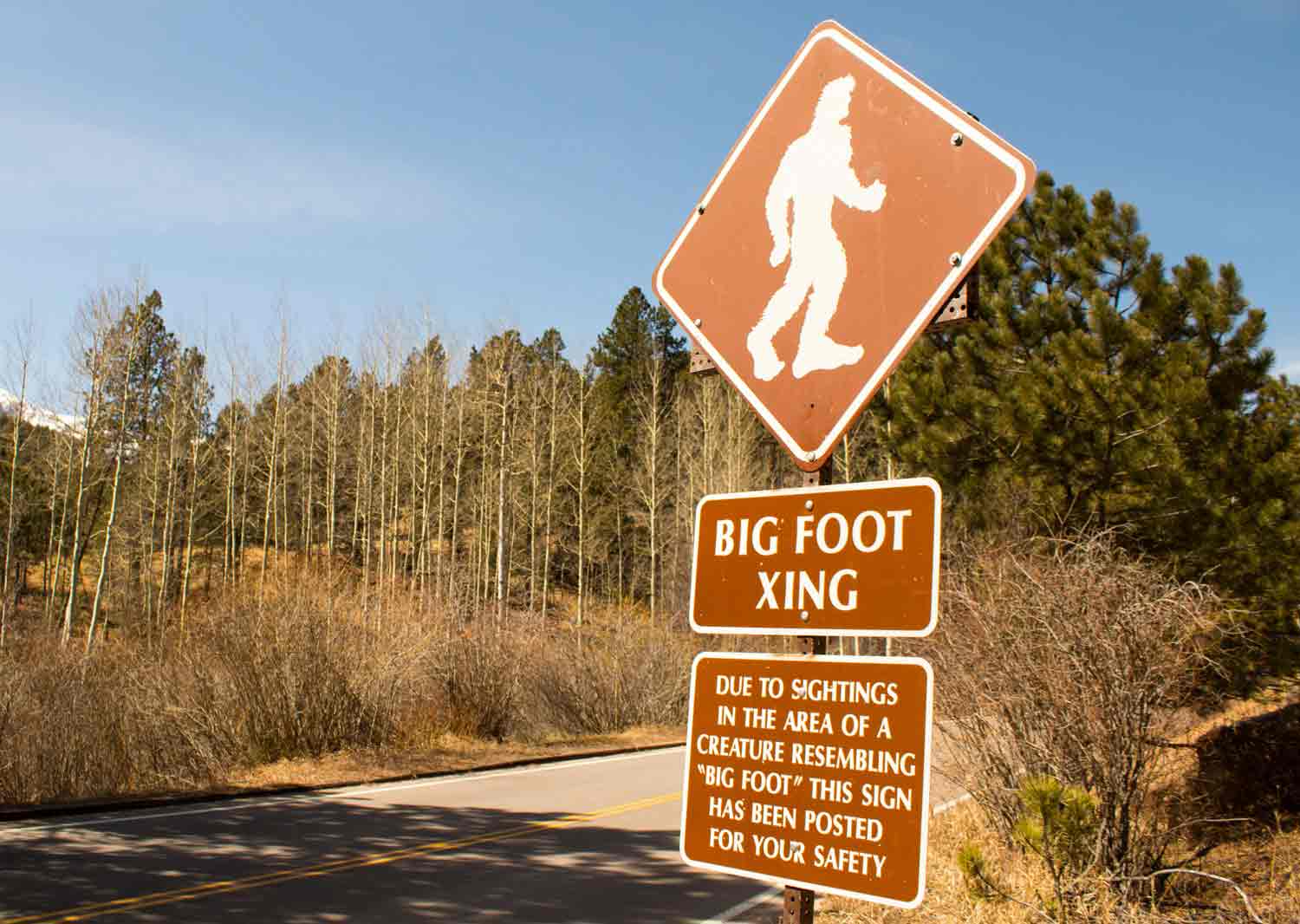 Road signs show an outline of a hair creature and a message stating that Bigfoot has been seen in the area.