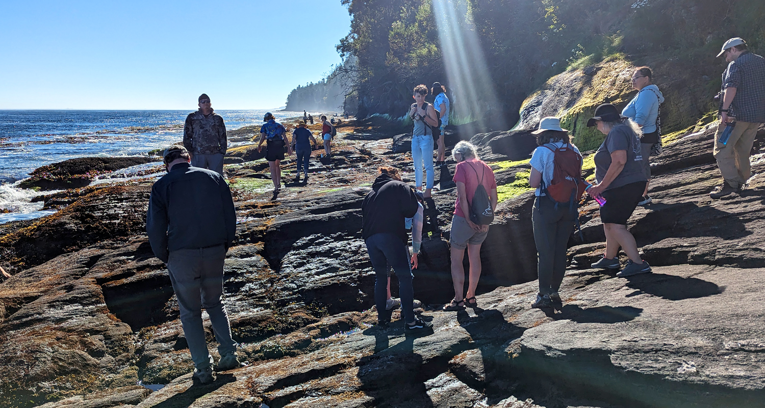 A group of people stand on a rocky beach with evergreen trees along the coast.