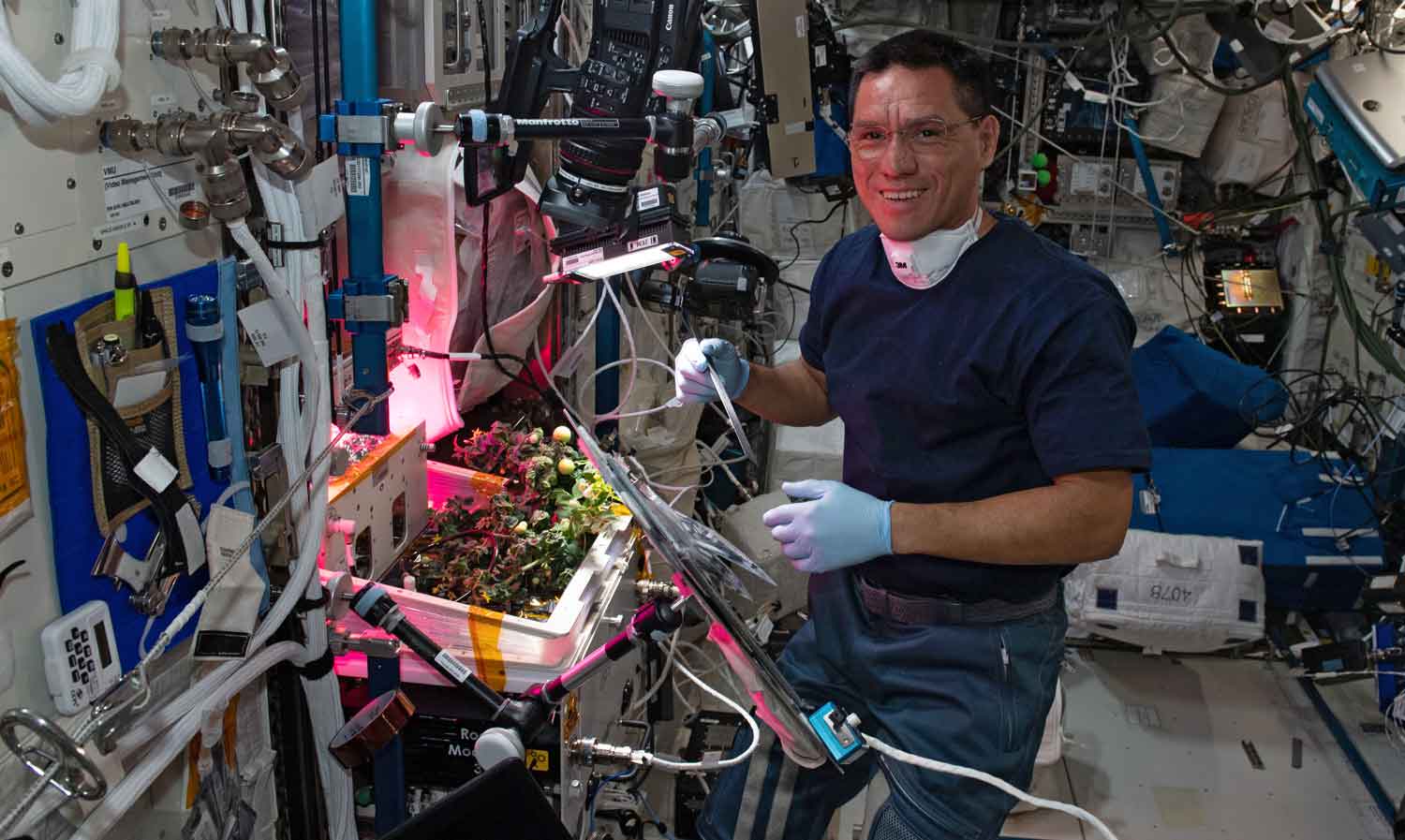 Frank Rubio aboard the ISS and in front of some contained tomato plants.