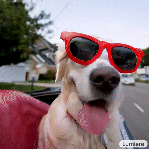 Animated dog with sunglasses driving a car,