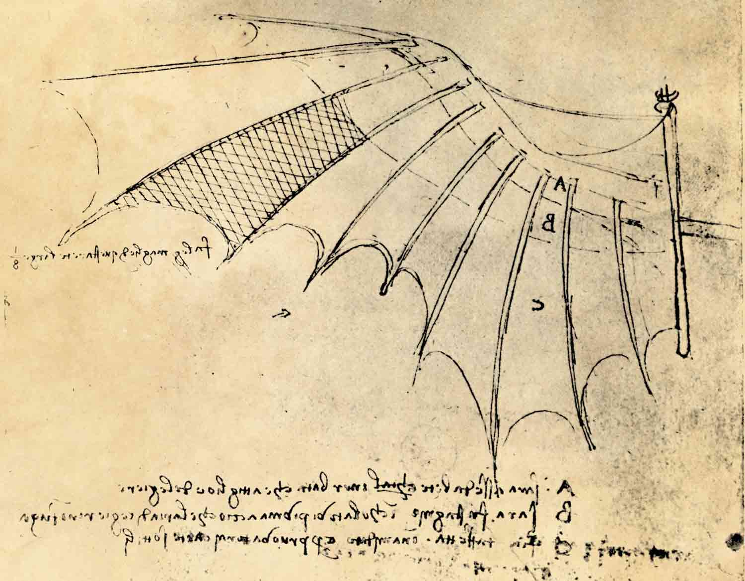 Leonardo da Vinci’s illustration of his flying machine with parts labeled in mirror writing.