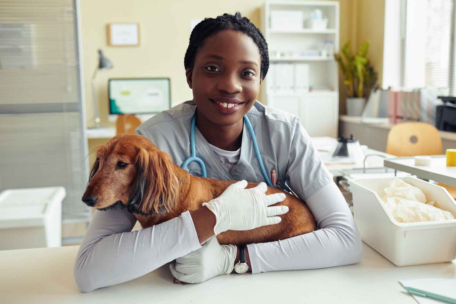 A veterinarian smiles and wraps her arms around a small dog on a table in an exam room.