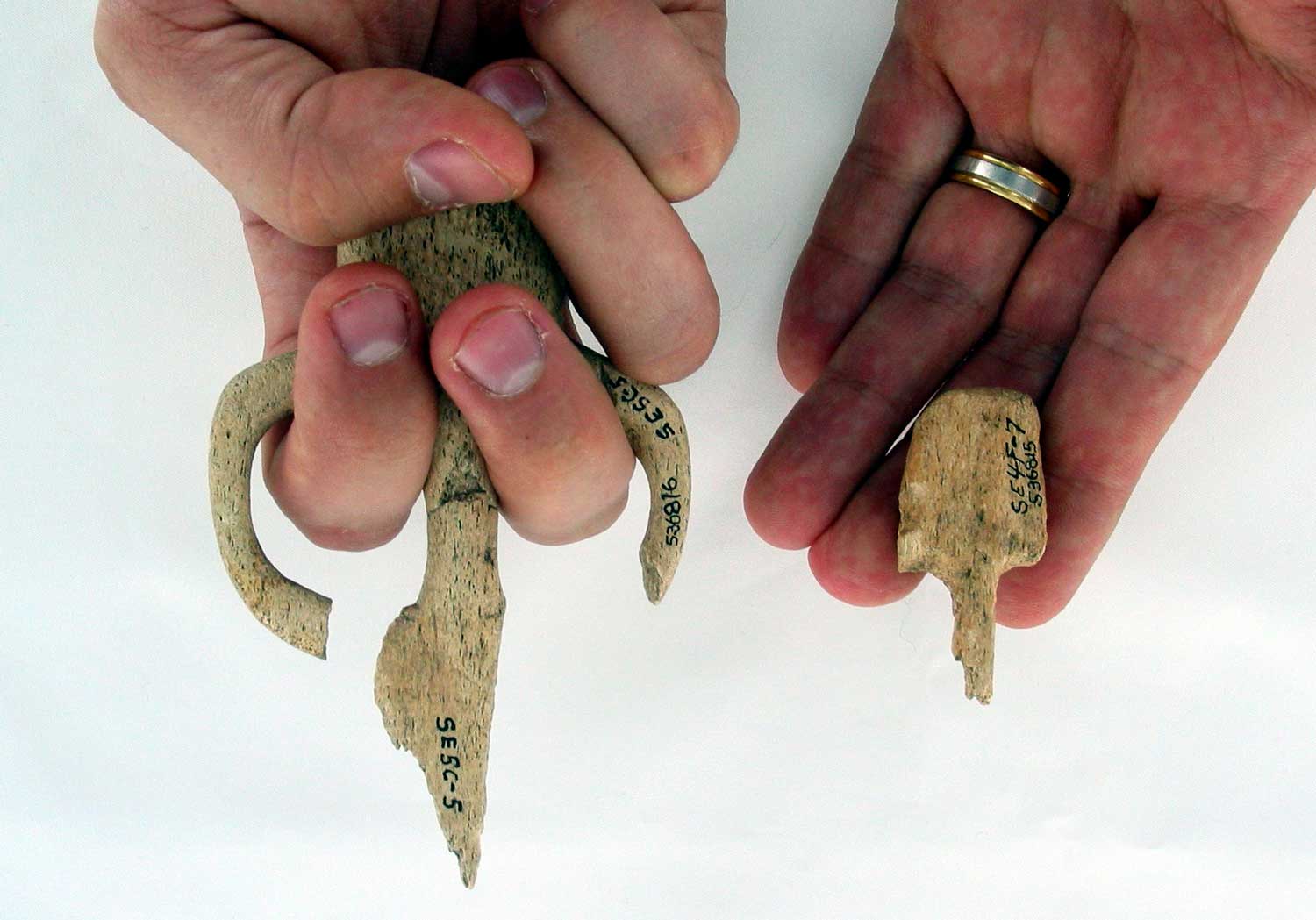 Two hands hold stone weapons, one much smaller than the other.
