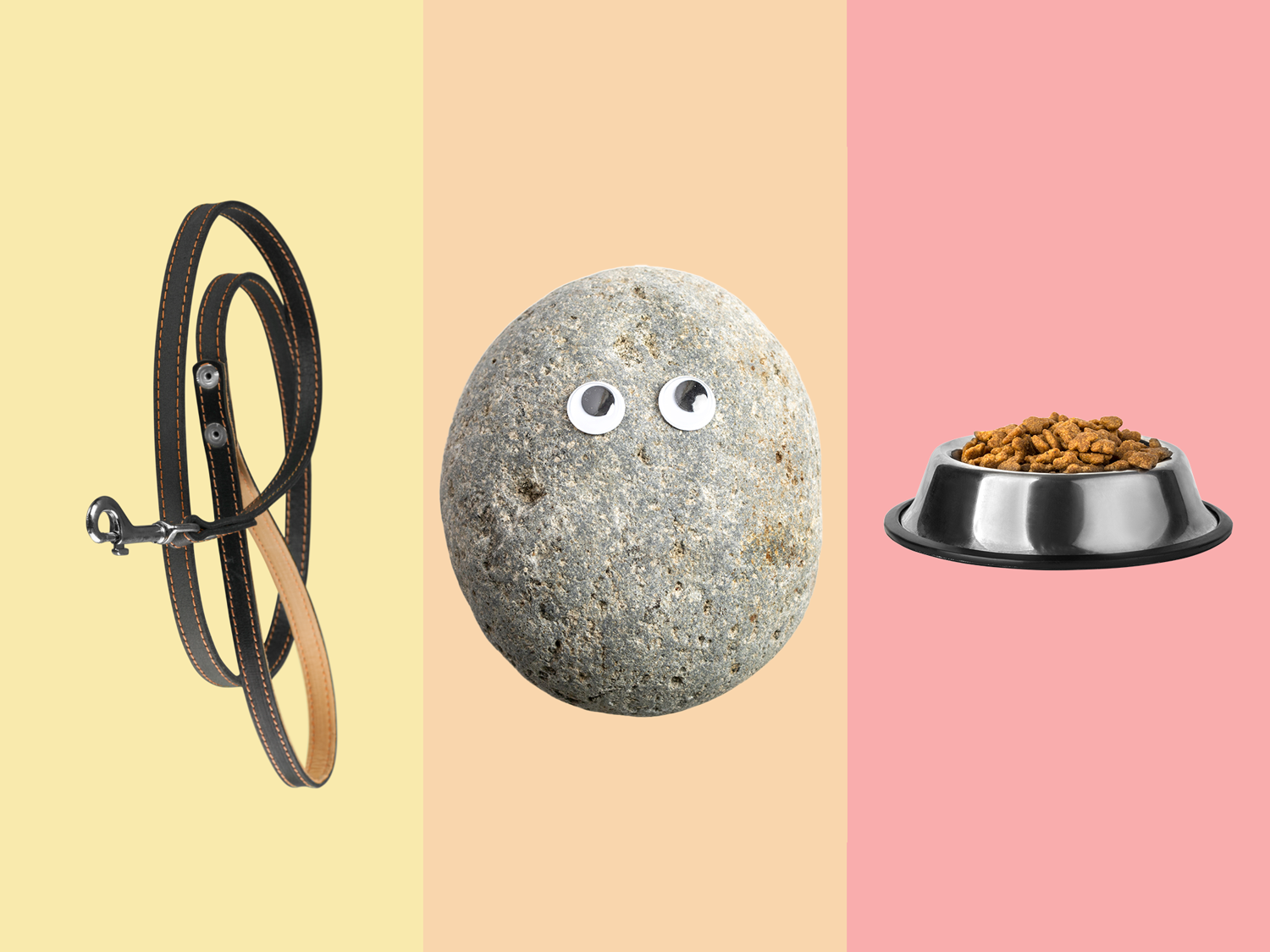 Three panels show a leash, a rock with googly eyes, and a dog bowl with dog food.
