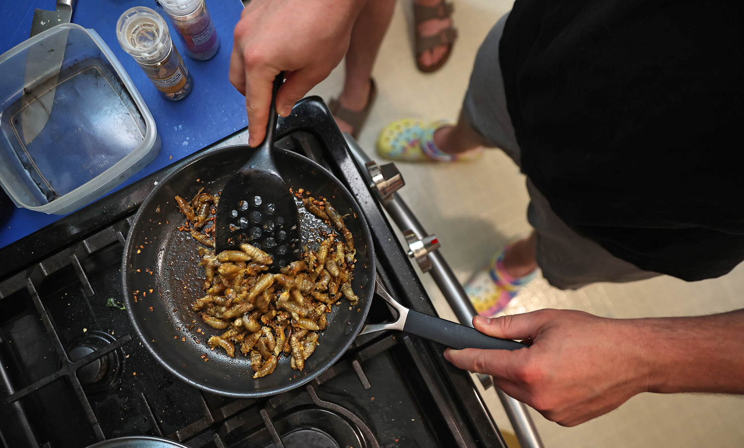 Two hands seen from above holding a spatula and a pan filled with cicadas on a stove.