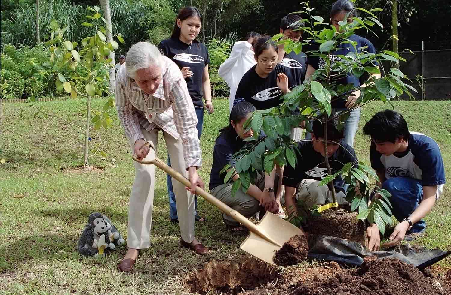 Children and teens watch as Jane Goodall digs a hole next to a tree sapling.