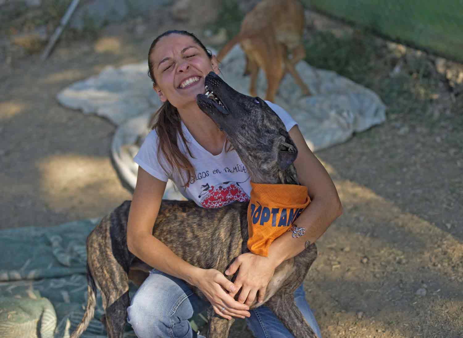 A woman kneels down with her arms around a brindle greyhound that is looking back at her.