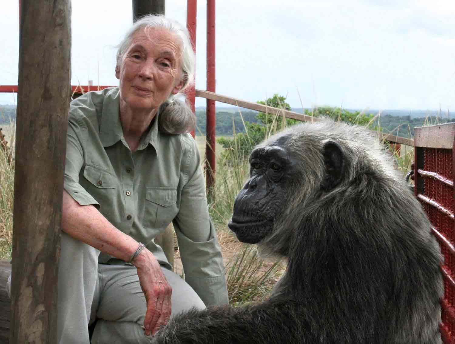 Jane Goodall smiles at the camera as she sits on the ground with a chimpanzee.