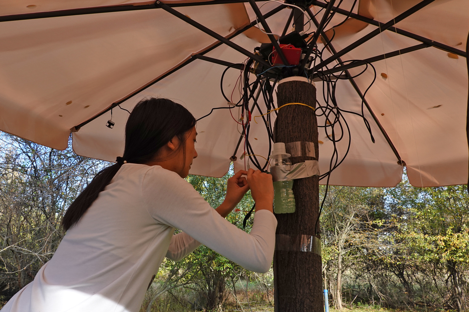 A teen connects wires to an umbrella base that has been wrapped in mesh wire.