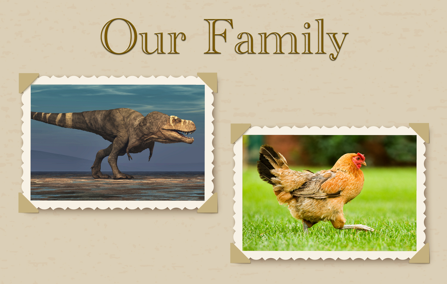 A page titled Our Family features pasted in photos of a T rex and a chicken in similar poses.
