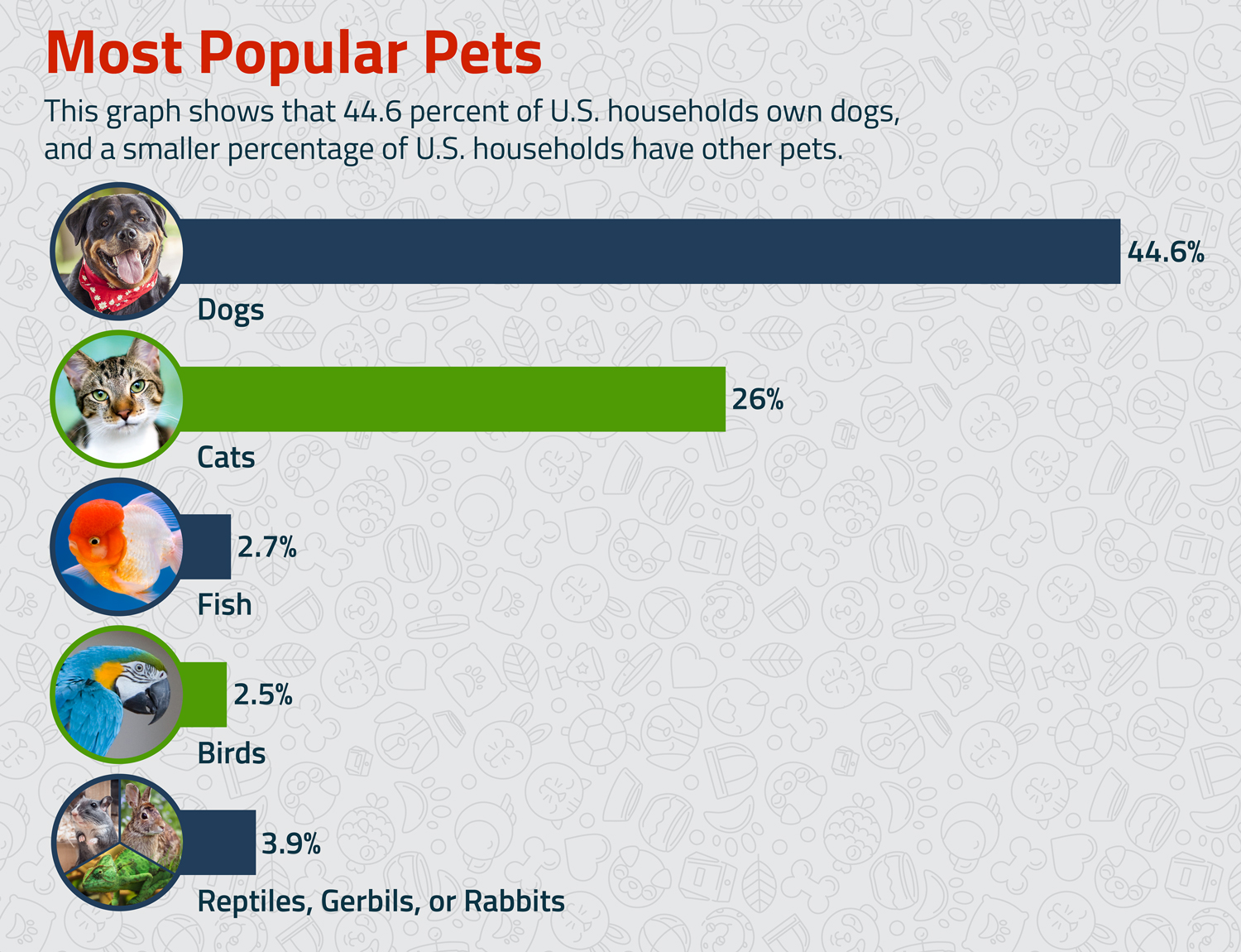 A bar graph called Most Popular Pets shows the percentage of U S households owning dogs, cats, fish, birds, and reptiles, gerbils, or rabbits.