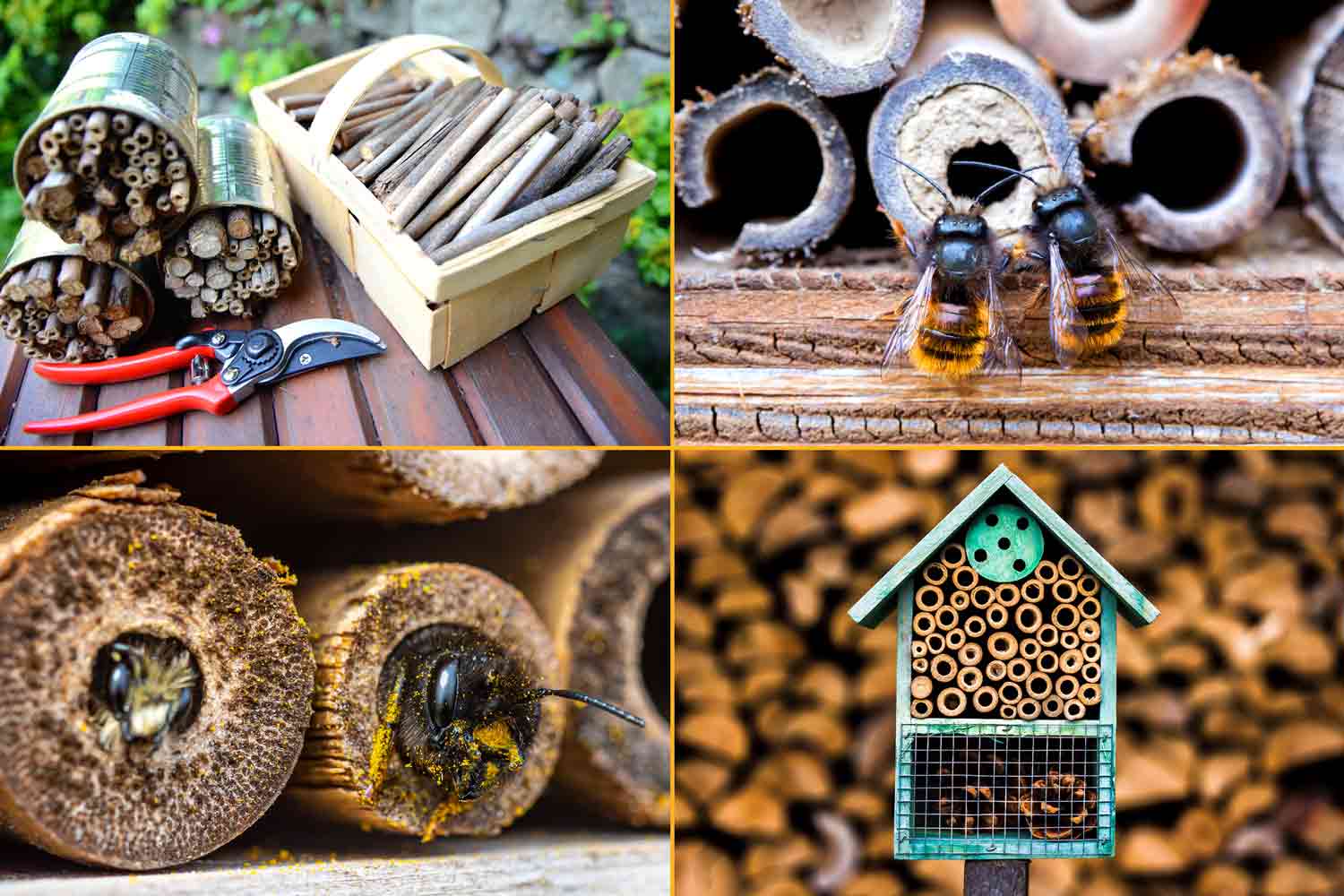 Composite showing building materials, a completed bee sanctuary, and bees making use of hollow sticks