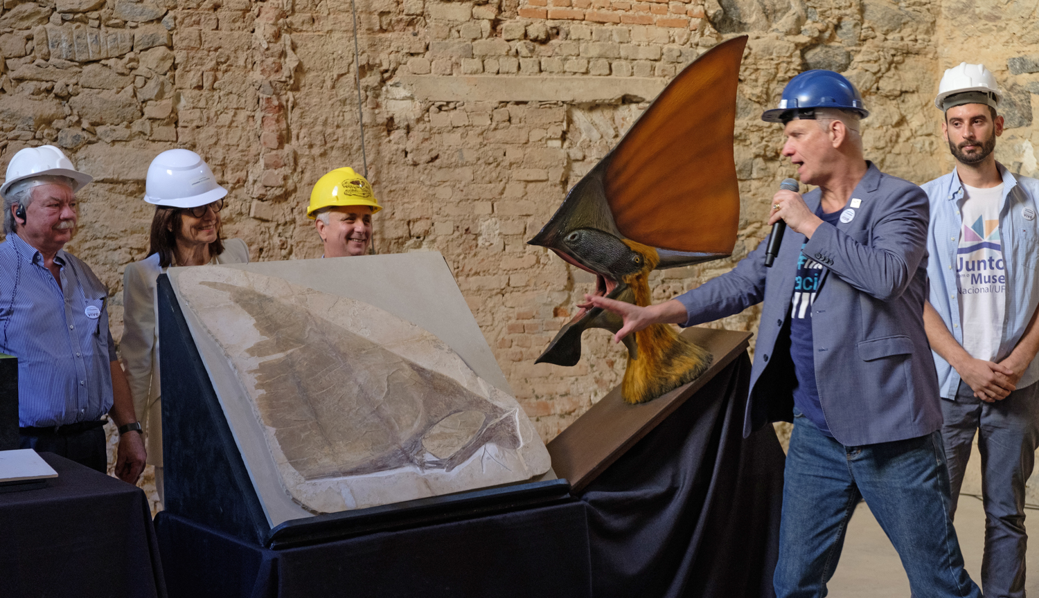 A man in a hardhat holds a microphone and points to a pterosaur skull fossil that is next to a reconstructed pterosaur as a group in hardhats looks on.