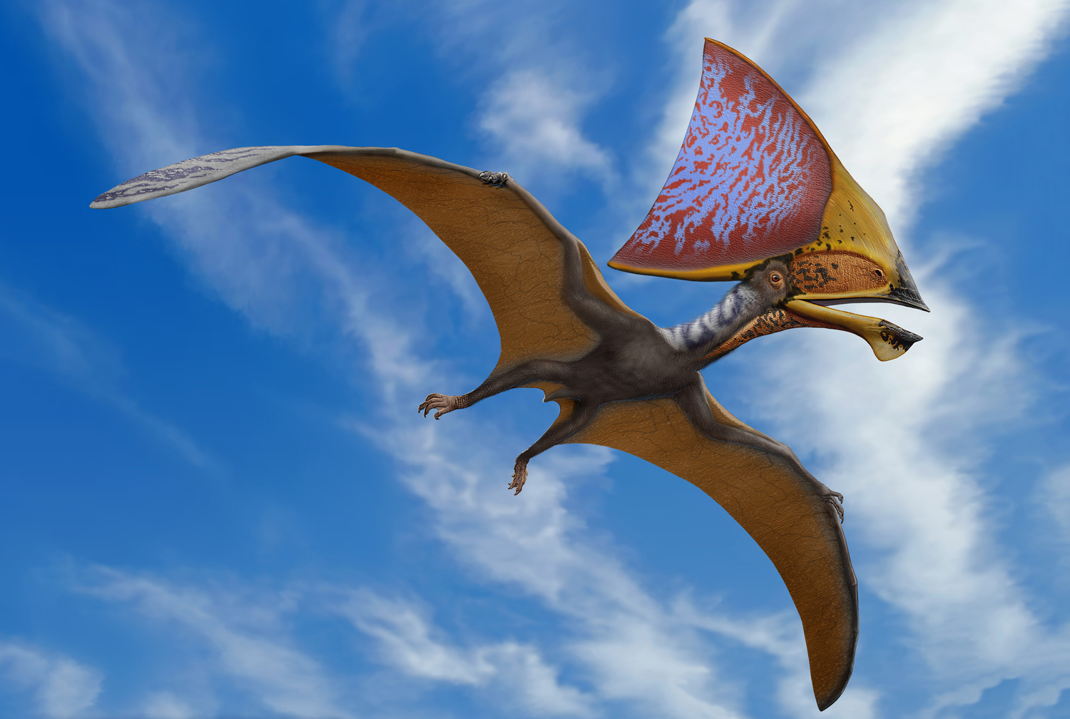 A prehistoric pterosaur with a large bony structure on its head is in flight.