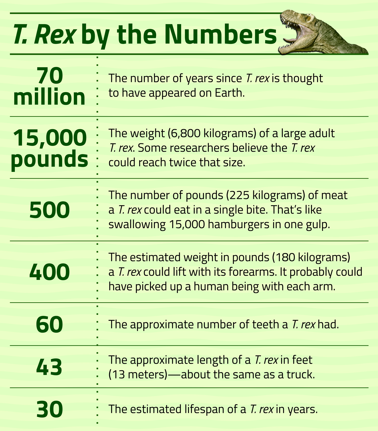 A chart called T. Rex by the Numbers shows various numbers related to the T. rex lifespan, size, appetite, and more.