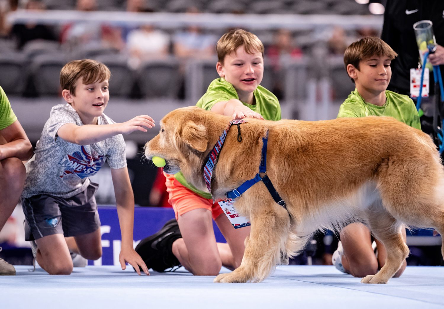 Three children kneel on the floor and pet Beacon, who has a ball in his mouth.