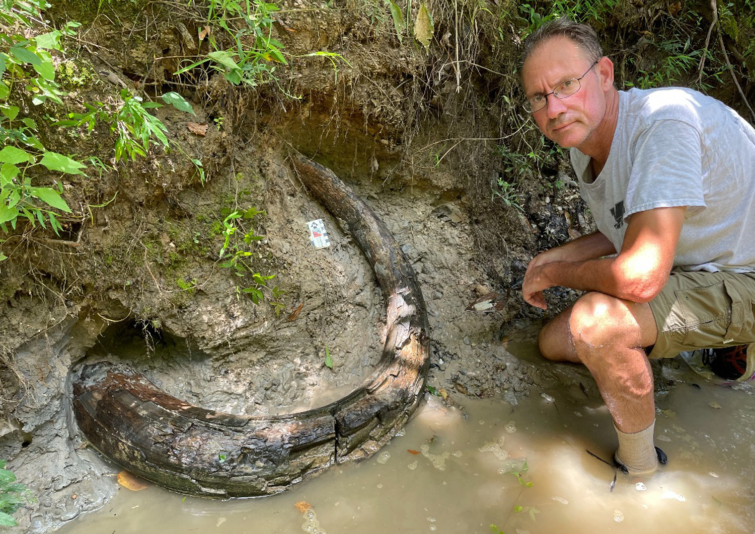 A man kneels at a creek bed next to a large mammoth tusk.