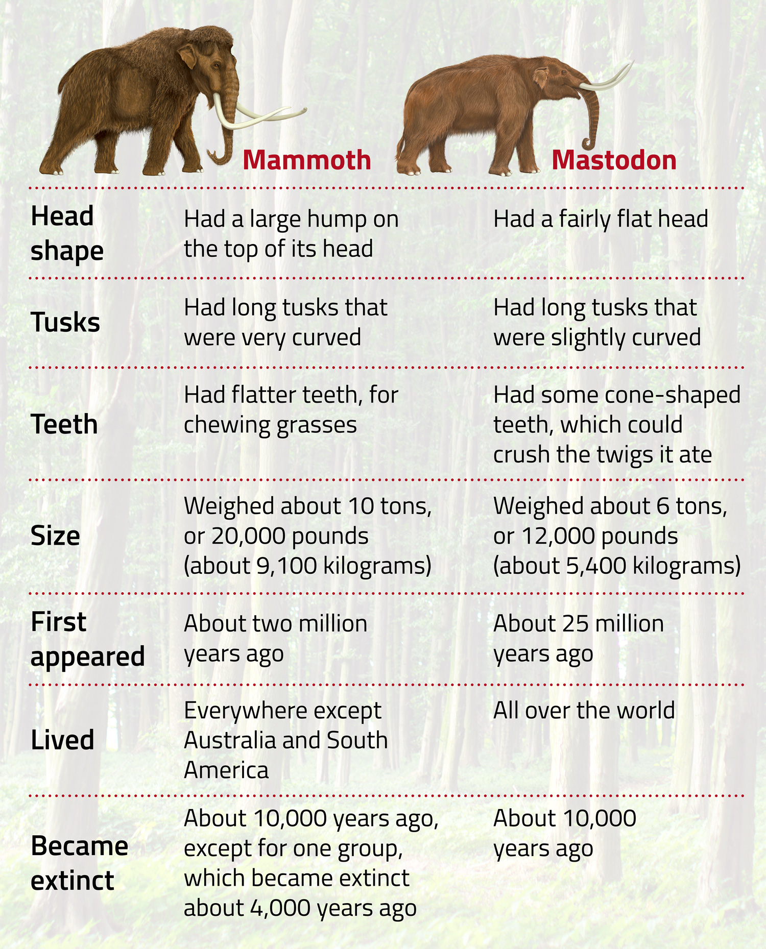 A table comparing the physical characteristics of mammoths and mastodons.