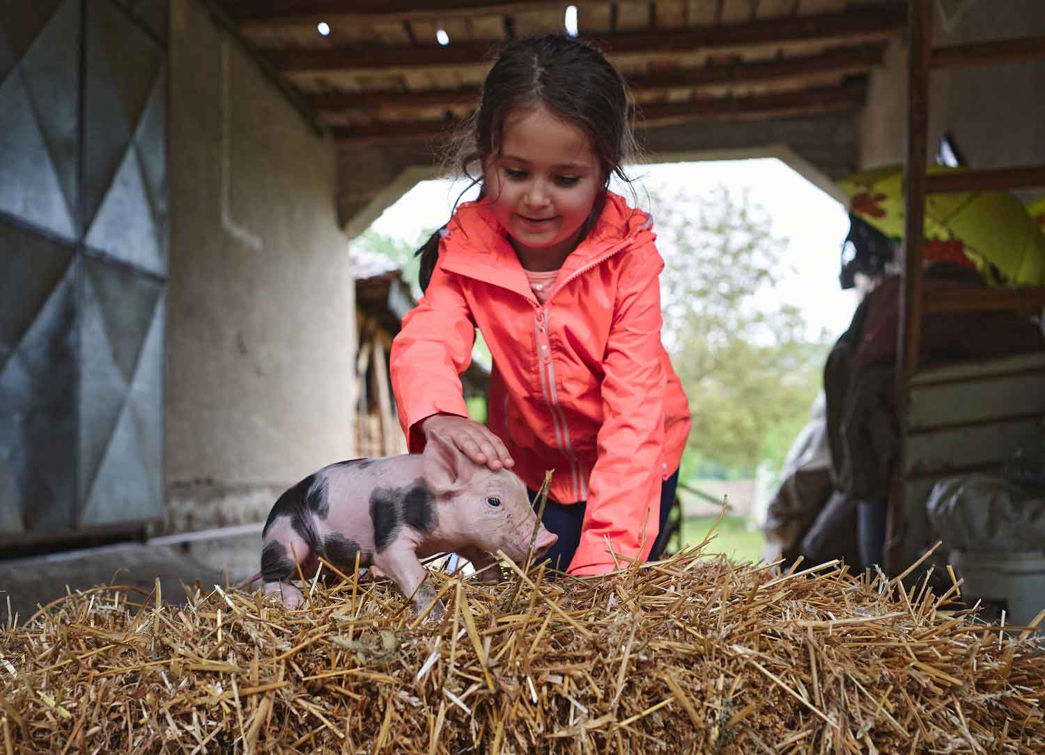 A girl kneels on a pile of hay in a farm structure and pets a piglet.