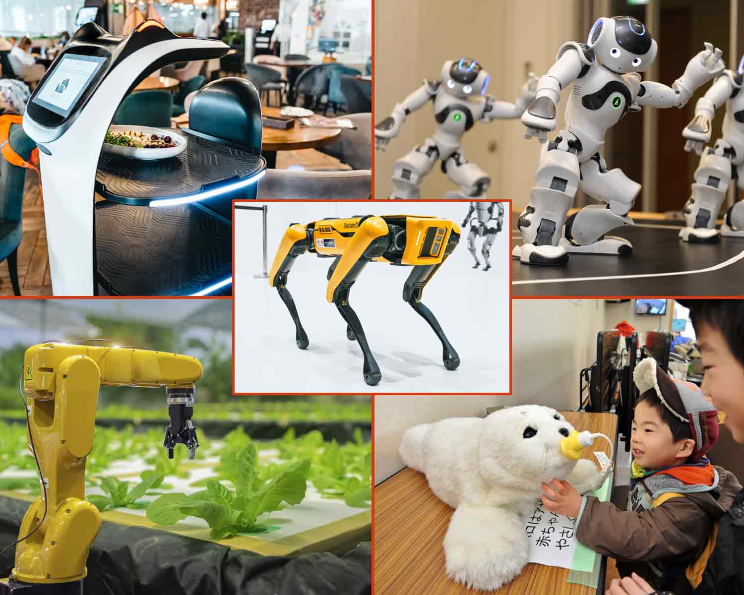 A collage shows robots serving food, dancing, and harvesting vegetables, as well as a furry therapy robot and a dog robot.